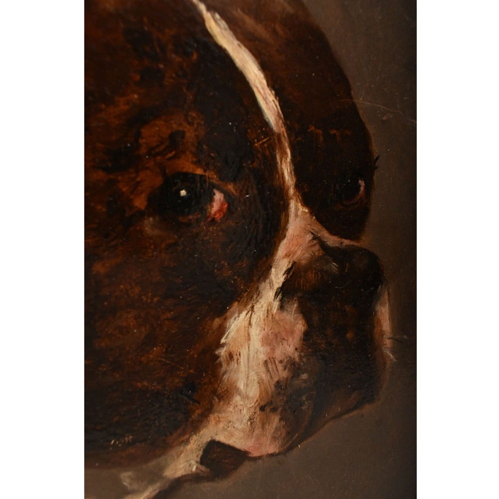QA795 7a antique oil painting dogs portraits painting XIX
